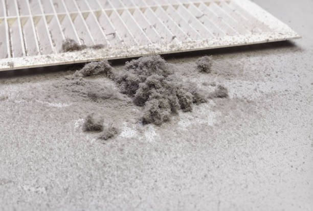 Best HVAC Duct Inspection Services  in South Woodstock, CT