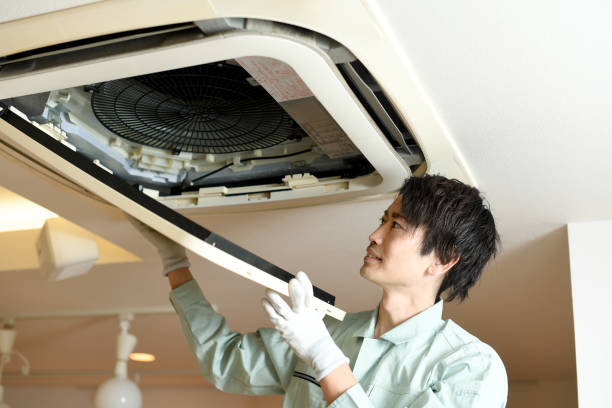 Best Professional Duct Cleaning Services  in South Woodstock, CT